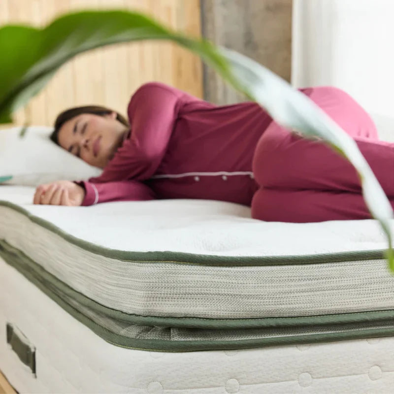 Organic box-top mattress with Pure Talalay latex