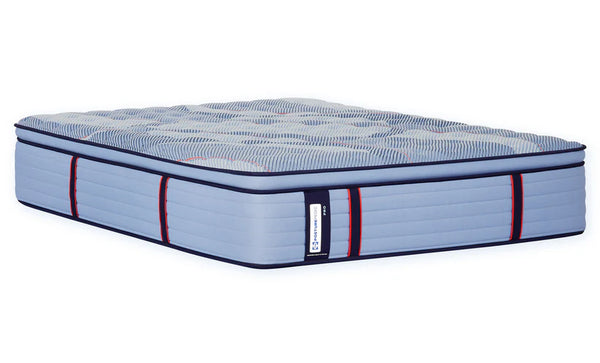 Sealy Dupont II Soft Euro Pillow Top
